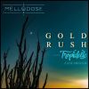 Download track Gold Rush