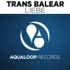 Download track Liebe (Extended Mix)