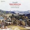 Download track 12. Trio Sonata No. 3 In E Flat Major HWV 382 - 1. Adagio