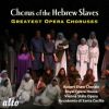 Download track Va Pensiero (Chorus Of The Hebrew Slaves) (From Nabucco)