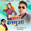 Download track Tere Bin Dil Nahi Lagta