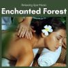 Download track Soothing Massage Music