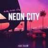 Download track The Neon Night