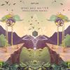 Download track Fragile Nature (Sabretooth Remix)