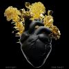 Download track Dark Heart