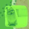 Download track Relaxed Ambiance For Calming Dogs