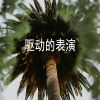 Download track 邪恶的和亲吻