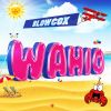 Download track Wahio (Dany H Remix)