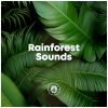 Download track Relaxing River Sounds