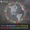 Download track The World (Timmy Regisford Remix)