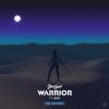 Download track Warrior (Villms Remix)