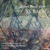 Download track French Suite No. 1 In D Minor, BWV 812: VI. Da Capo To Menuet I'