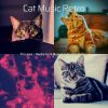 Download track Vibrant Resting Kittens