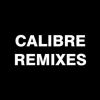 Download track With You (Calibre Remix)