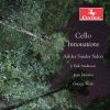Download track Rondo In G Minor, Op. 94, B. 181 (Arr. A. Sandor Sidon For 4 Cellos)