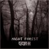 Download track Night Forest