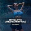 Download track Concealed Entrance (Radio Edit)