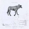 Download track Nibelungen-Three Beggars (Sorrow Pain Desperation, Fox Crow Deer)