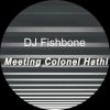 Download track Meeting Colonel Hathi (Radio Edit)