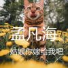 Download track 姑娘你嫁给我吧 (伴奏)