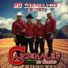 Download track La Yegua Cebruna (En Vivo)