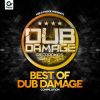 Download track Damage Dub