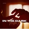 Download track In The Dark (Symphony Mix)