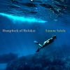 Download track Underwater Space Whale