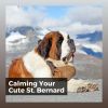 Download track Calming Doggy Times, Pt. 15