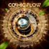 Download track The Ritual (Cosmic Flow Remix)