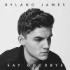 Download track Say Goodbye (Acoustic Version)