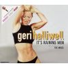 Download track It'S Raining Men (D - Bop'S Tall & Blonde Mix) (Edit) 