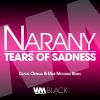 Download track Tears Of Sadness (Radio Edit)