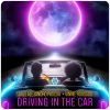 Download track Driving In The Car (Radio Mix)