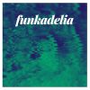 Download track Funkadelia