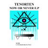 Download track Now Or Never (Original Mix)