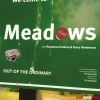 Download track Meadows (North Street Dub)