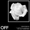 Download track Flowers For Algernon (Billy Turner's Black Dahlia Mix)