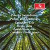 Download track Zemlinsky: Piano Trio In D Minor, Op. 3: III. Allegro