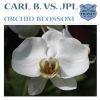 Download track Orchid Blossom (That Mix)