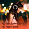 Download track Ad Tsapiyow Dens - My Night Bird (Radio Edit)