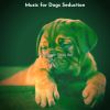 Download track Phenomenal Ambience For Lonely Dogs