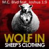Download track Wolf In Sheep's Clothing (Joshua 1: 9)