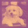 Download track Smoky Music For Doggy Stress