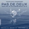 Download track Sleeping Beauty, Op. 66, Act III, No. 28, Pas De Deux Variation 2 (Aurora)