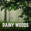 Download track Wholly Rain