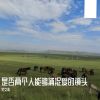 Download track 是否两个人能够捕捉爱的镜头 (Warm)