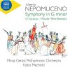 Download track 08. Symphony In G Minor, SN 6.11 - III. Scherzo - Intermezzo - Scherzo