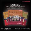 Download track Symphony No. 2 In A Major, Op. 17: IV. Allegro Vivace, Marziale