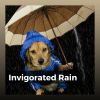 Download track Gentle And Soothing Rain, Pt. 8